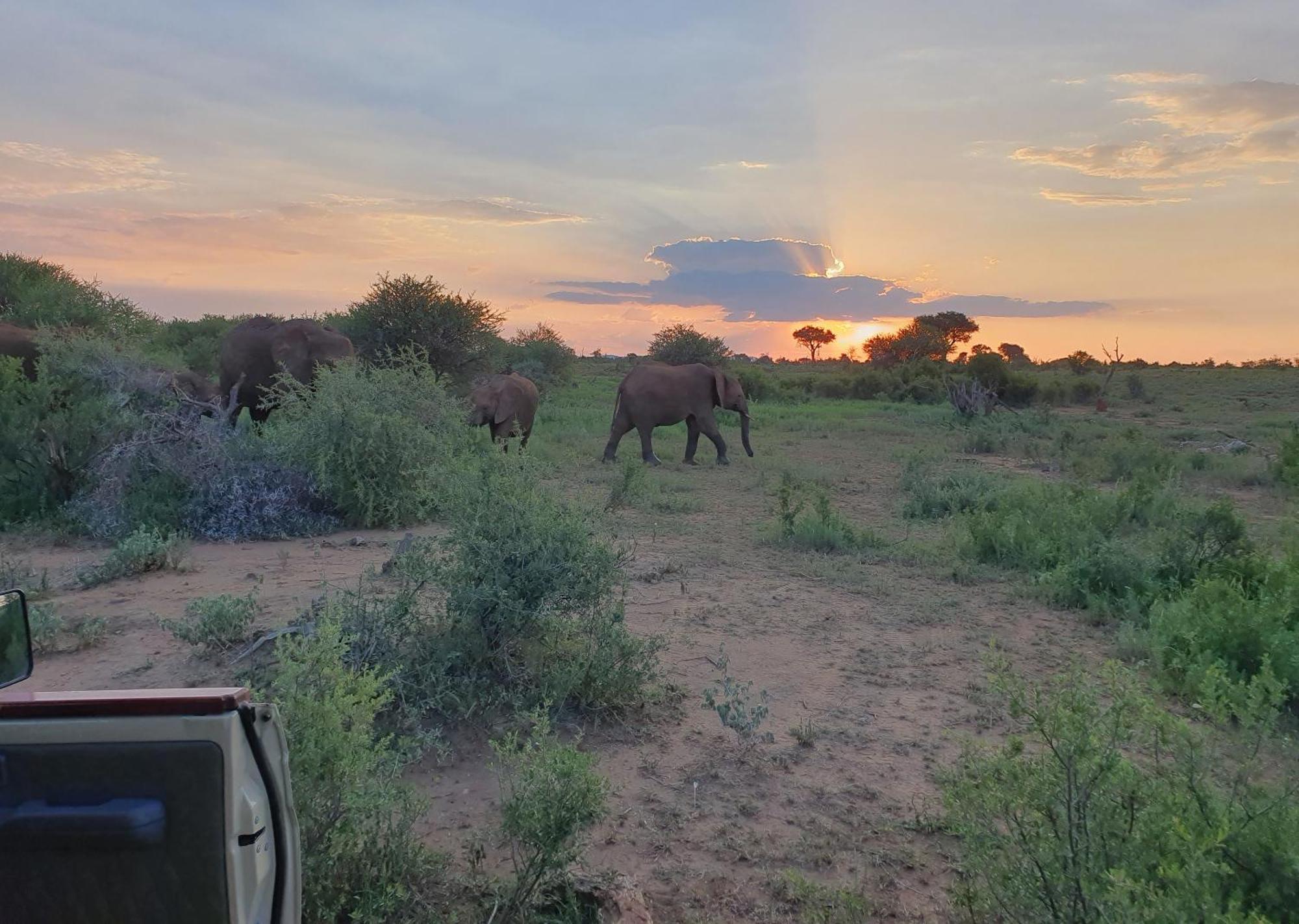 Madikwe River Lodge By Dream Resorts Madikwe Game Reserve Exterior foto