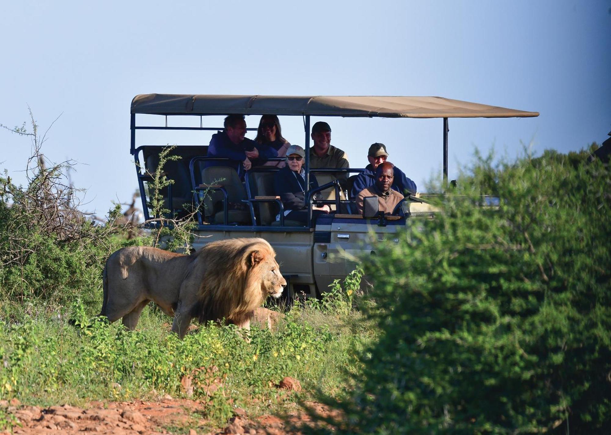 Madikwe River Lodge By Dream Resorts Madikwe Game Reserve Exterior foto