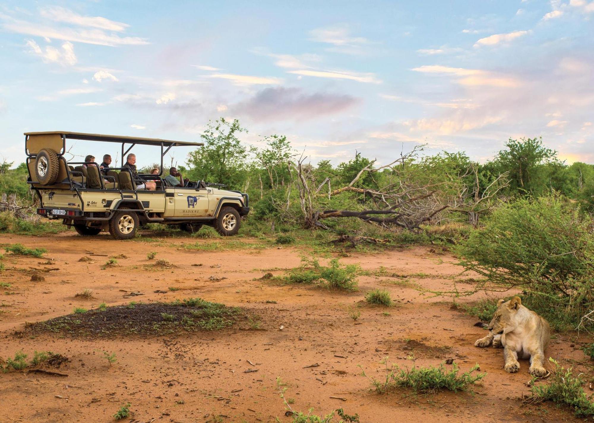 Madikwe River Lodge By Dream Resorts Madikwe Game Reserve Exterior foto