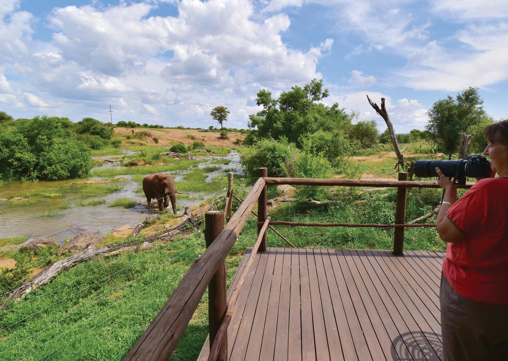 Madikwe River Lodge By Dream Resorts Madikwe Game Reserve Zimmer foto