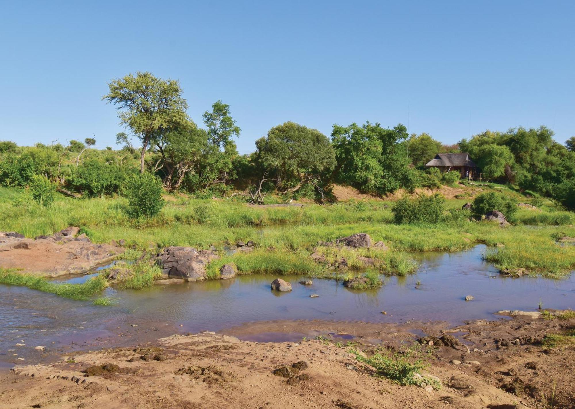 Madikwe River Lodge By Dream Resorts Madikwe Game Reserve Zimmer foto